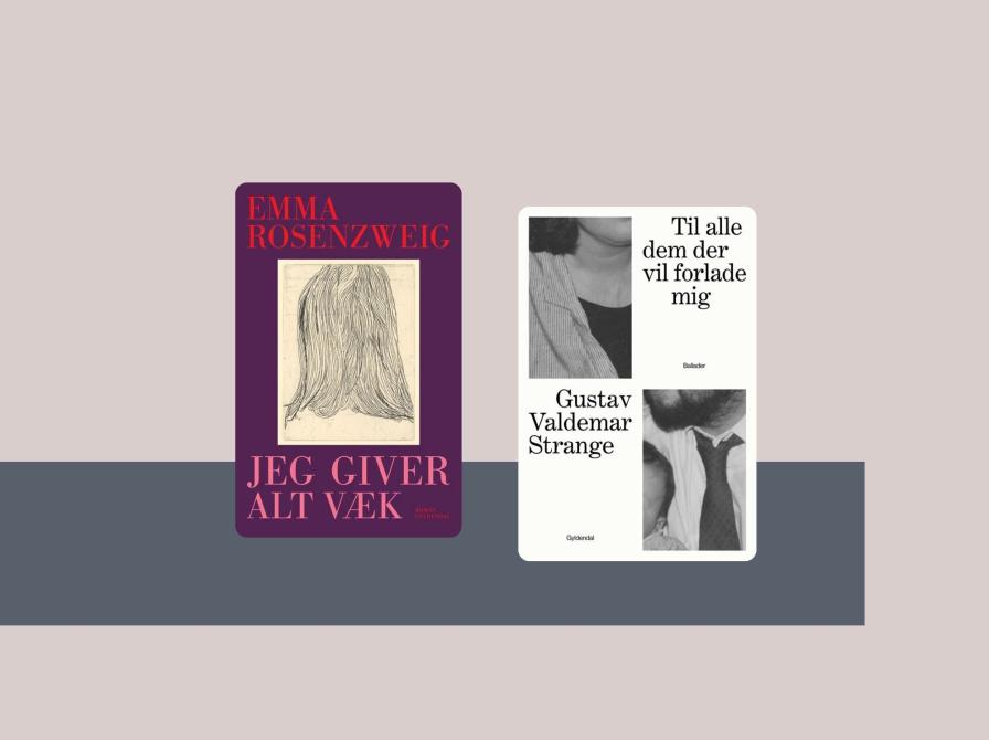 Forsider af bøger, som fik debutantpriserne